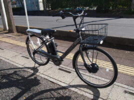 ステップクルーズe 限定カラーです！