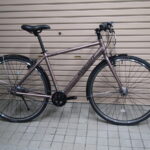 アルベルトスポーツ T.Xプルミエブロンズ